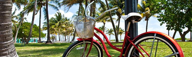 bicicleta contra arbol