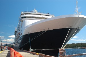 international cruise travel