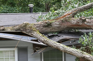 hurricane damage