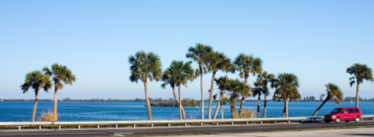 driving red van in florida