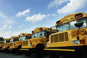 school bus safety tips