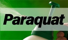 Paraquat Herbicide