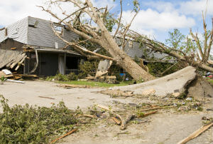 fallen tree home damage